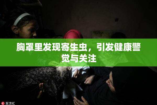 胸罩里发现寄生虫，引发健康警觉与关注
