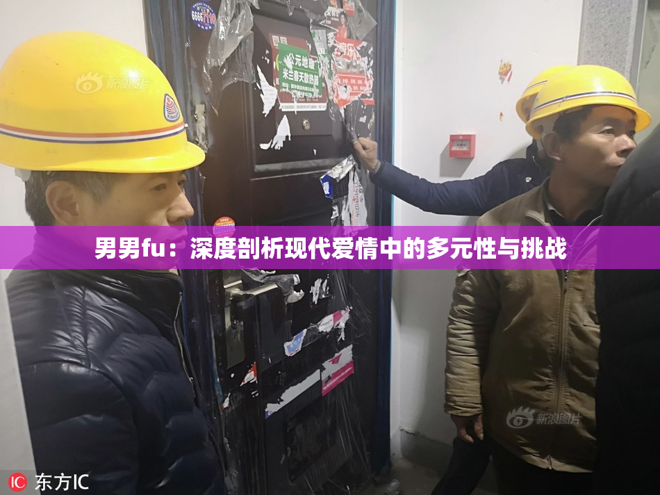 男男fu：深度剖析现代爱情中的多元性与挑战