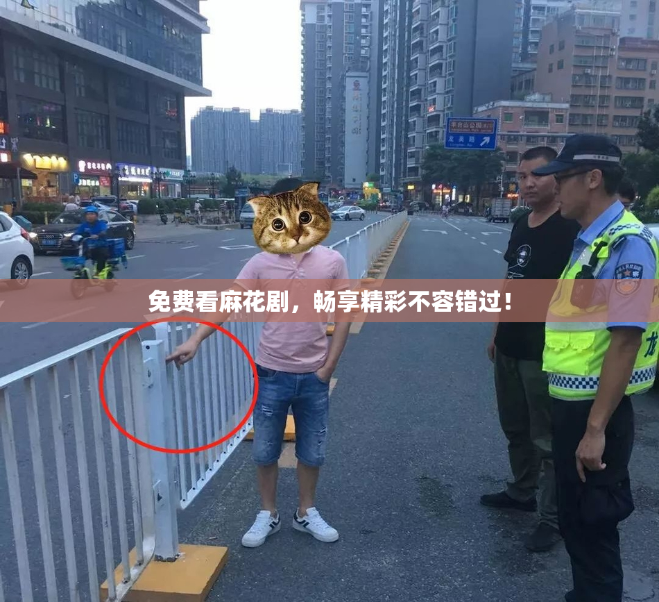 免费看麻花剧，畅享精彩不容错过！