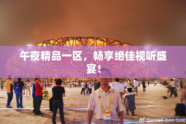 午夜精品一区，畅享绝佳视听盛宴！