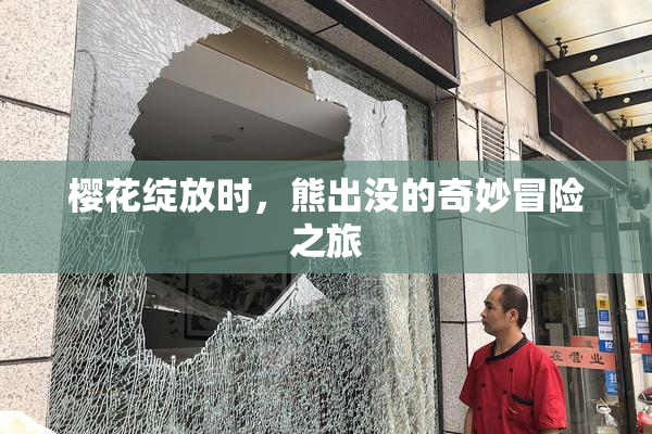 樱花绽放时，熊出没的奇妙冒险之旅
