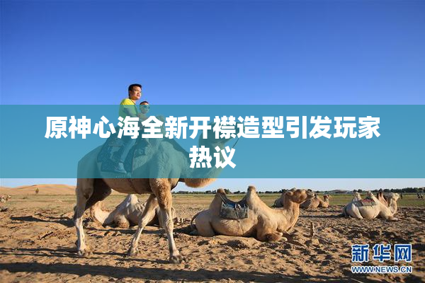原神心海全新开襟造型引发玩家热议