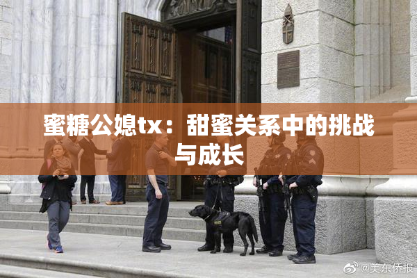 蜜糖公媳tx：甜蜜关系中的挑战与成长