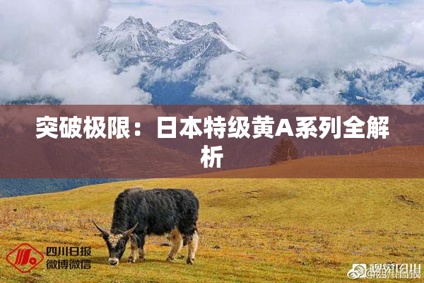 突破极限：日本特级黄A系列全解析