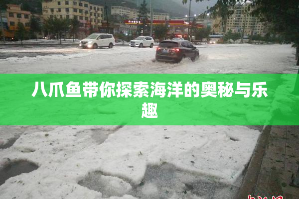 八爪鱼带你探索海洋的奥秘与乐趣
