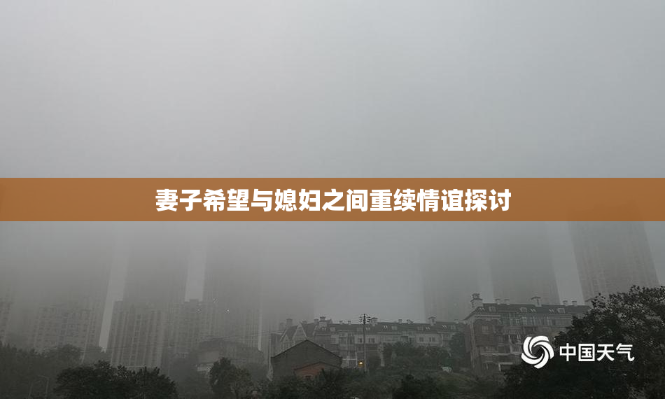 妻子希望与媳妇之间重续情谊探讨