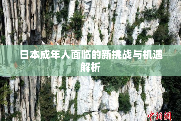日本成年人面临的新挑战与机遇解析