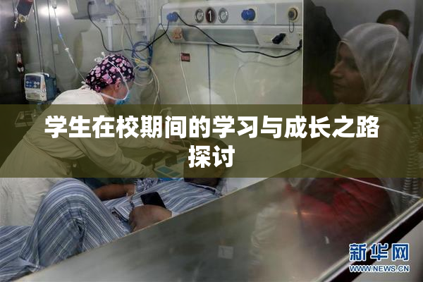 学生在校期间的学习与成长之路探讨