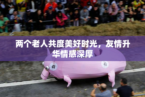 两个老人共度美好时光，友情升华情感深厚