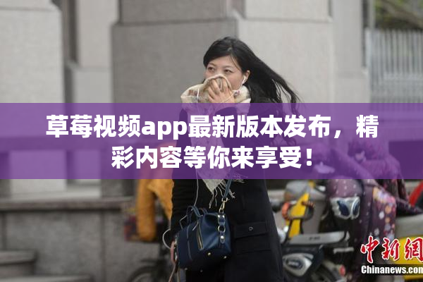 草莓视频app最新版本发布，精彩内容等你来享受！
