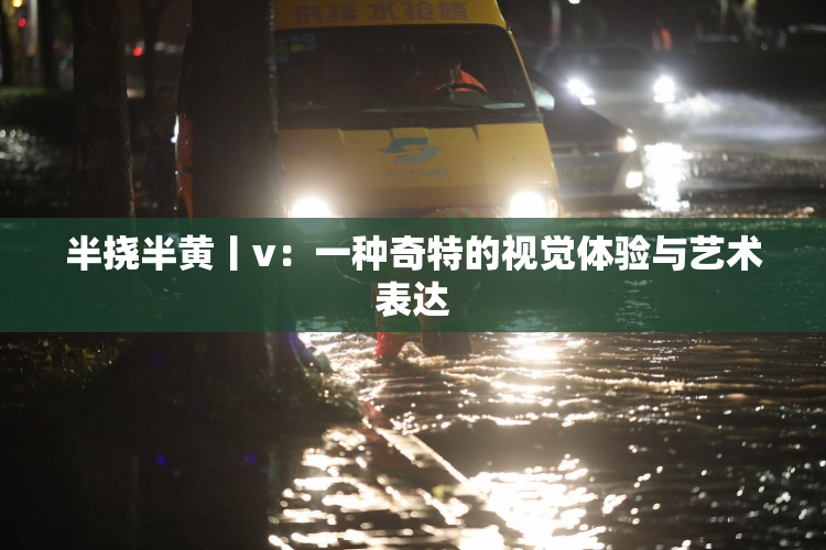 半挠半黄丨v：一种奇特的视觉体验与艺术表达