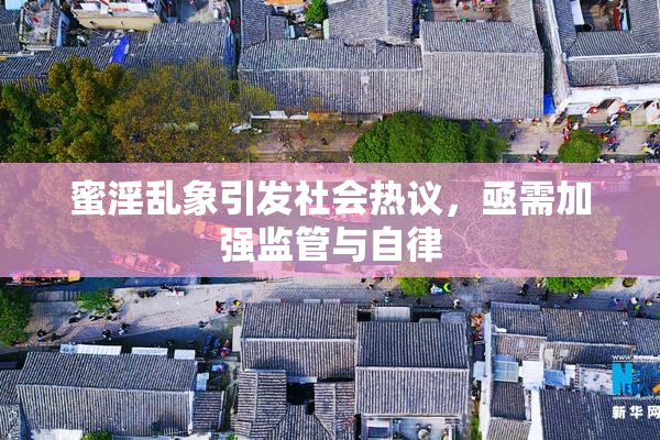 蜜淫乱象引发社会热议，亟需加强监管与自律