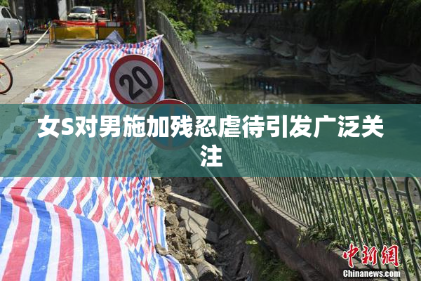 女S对男施加残忍虐待引发广泛关注