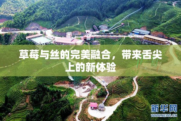 草莓与丝的完美融合，带来舌尖上的新体验