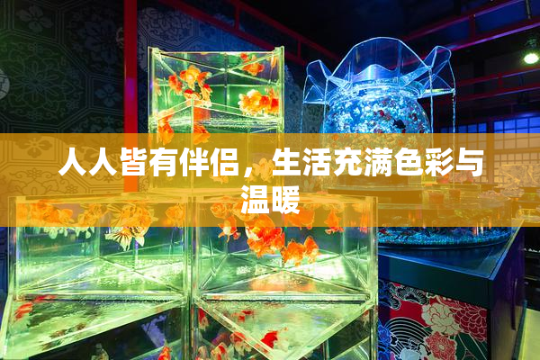 人人皆有伴侣，生活充满色彩与温暖