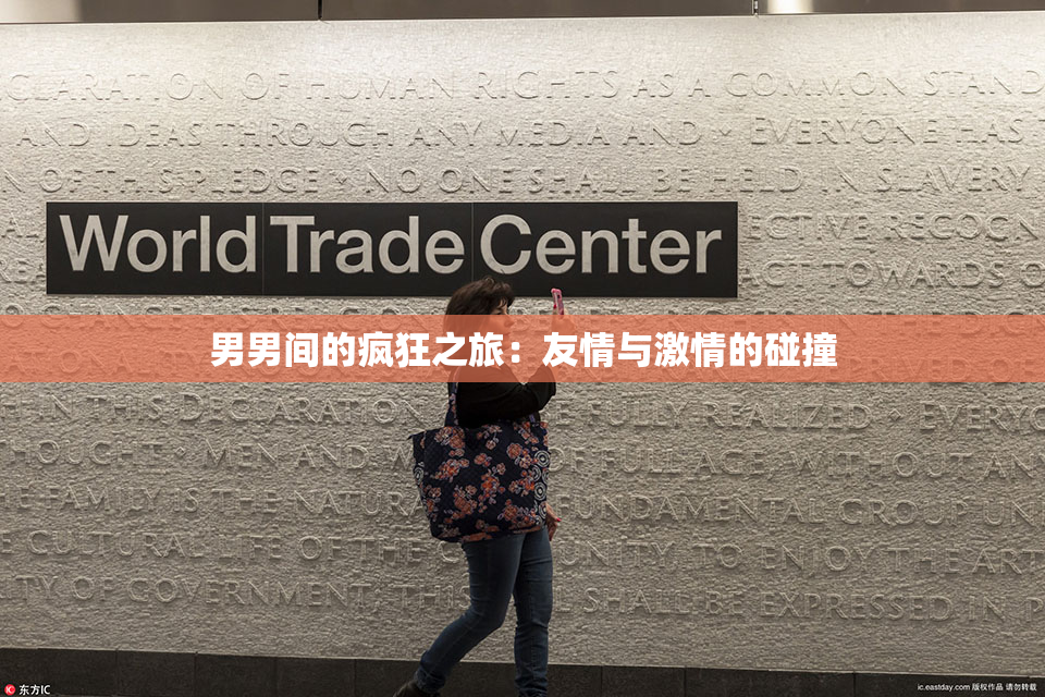 男男间的疯狂之旅：友情与激情的碰撞
