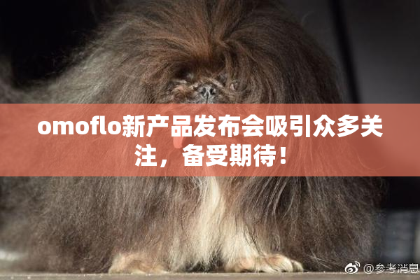 omoflo新产品发布会吸引众多关注，备受期待！