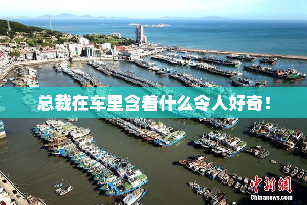 总裁在车里含着什么令人好奇！