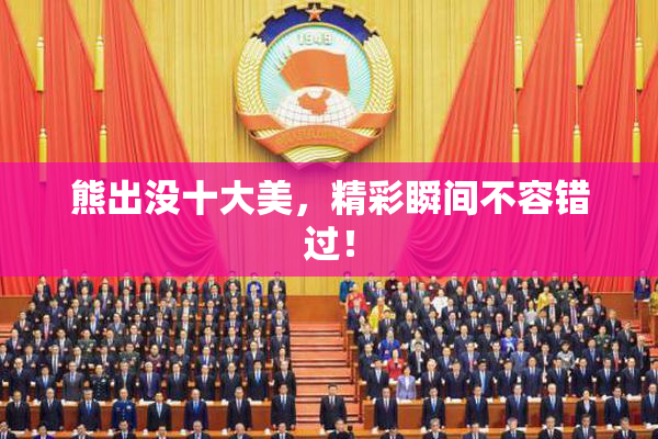 熊出没十大美，精彩瞬间不容错过！