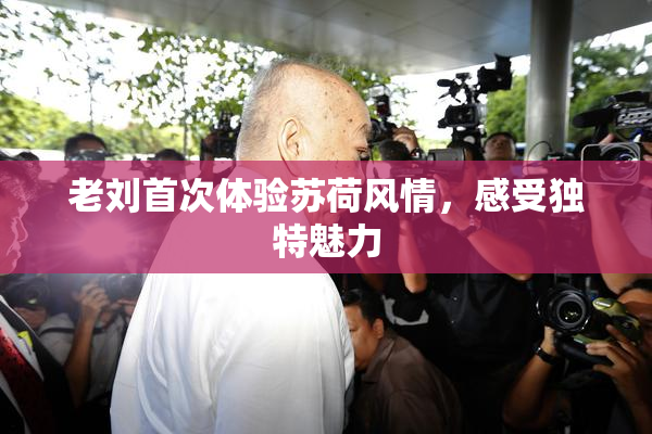 老刘首次体验苏荷风情，感受独特魅力