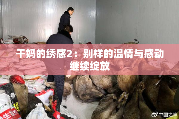干妈的绣感2：别样的温情与感动继续绽放