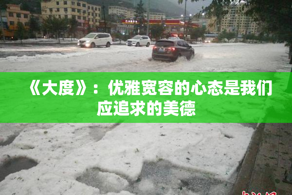 《大度》：优雅宽容的心态是我们应追求的美德