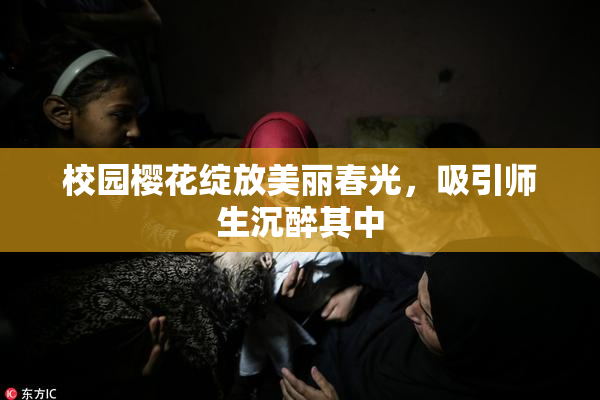 校园樱花绽放美丽春光，吸引师生沉醉其中