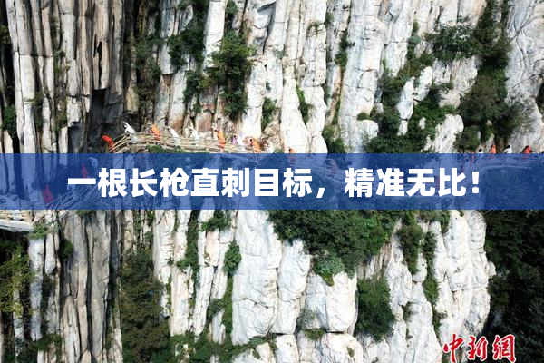 一根长枪直刺目标，精准无比！