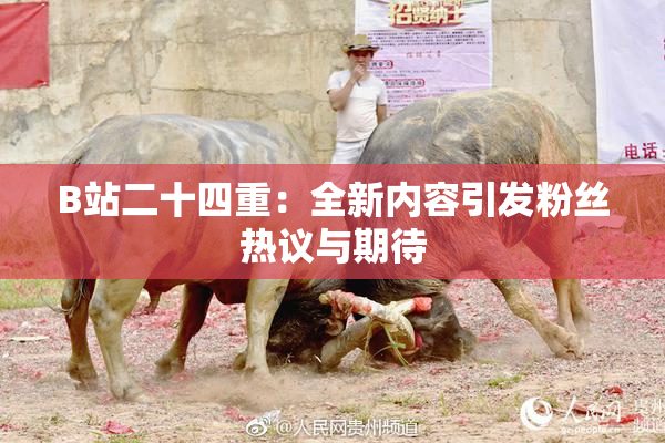 B站二十四重：全新内容引发粉丝热议与期待
