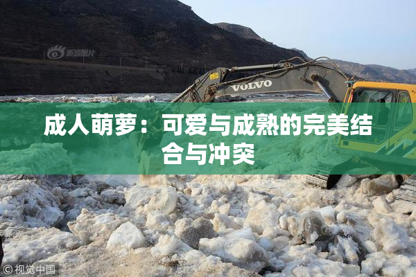 成人萌萝：可爱与成熟的完美结合与冲突
