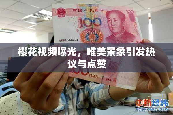 樱花视频曝光，唯美景象引发热议与点赞