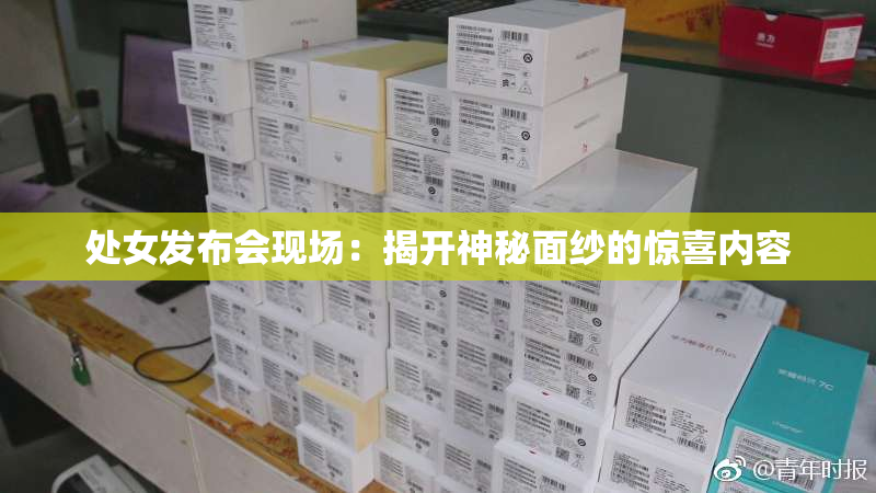 处女发布会现场：揭开神秘面纱的惊喜内容