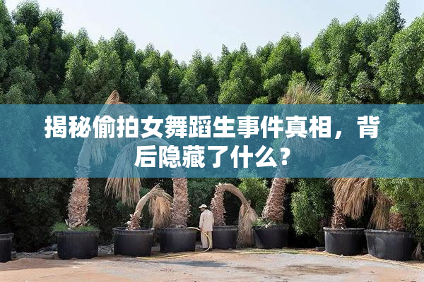 揭秘偷拍女舞蹈生事件真相，背后隐藏了什么？