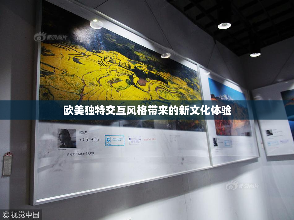 欧美独特交互风格带来的新文化体验