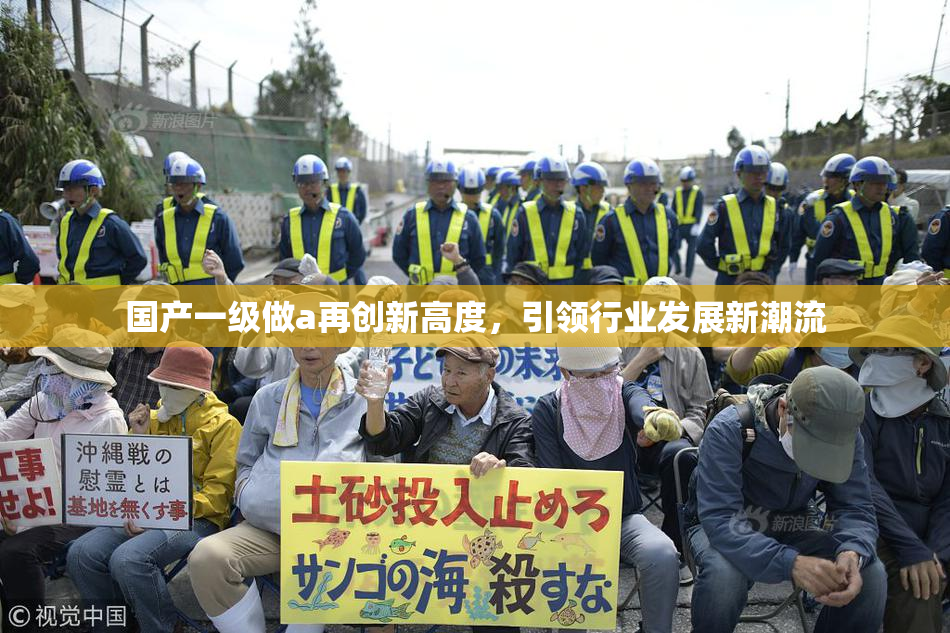 国产一级做a再创新高度，引领行业发展新潮流