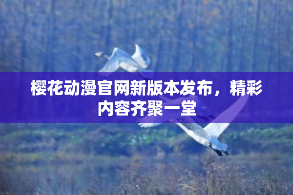 樱花动漫官网新版本发布，精彩内容齐聚一堂