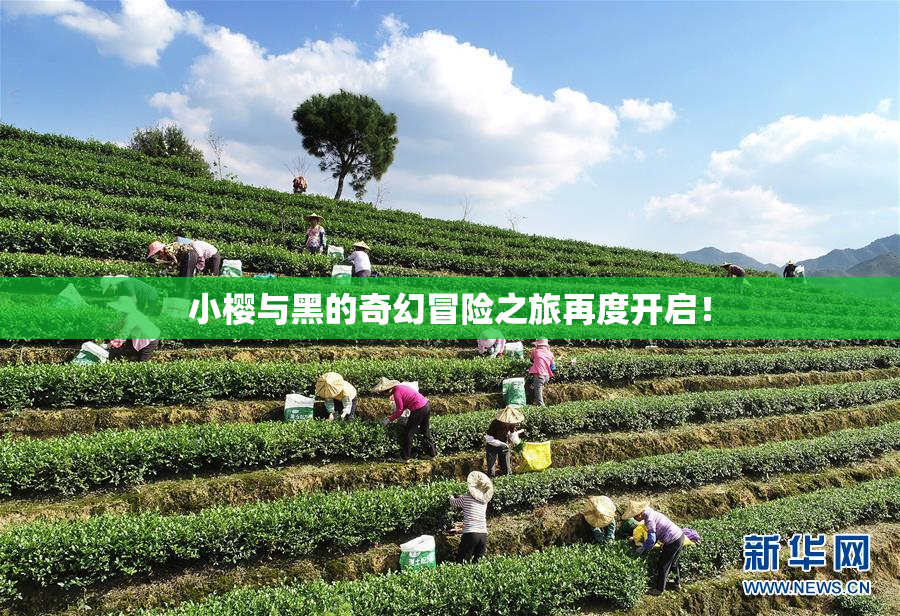 小樱与黑的奇幻冒险之旅再度开启！