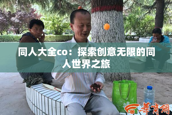 同人大全co：探索创意无限的同人世界之旅