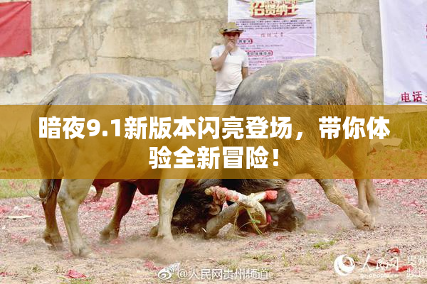 暗夜9.1新版本闪亮登场，带你体验全新冒险！
