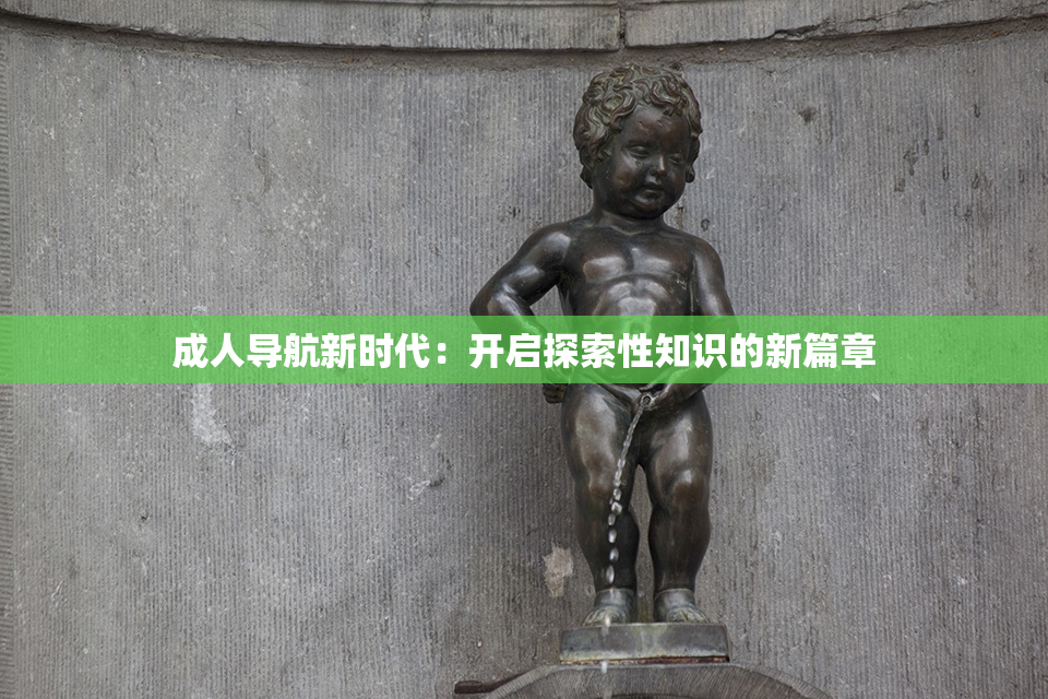 成人导航新时代：开启探索性知识的新篇章
