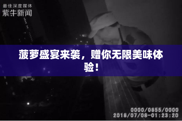 菠萝盛宴来袭，赠你无限美味体验！