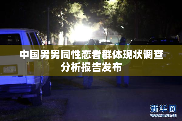 中国男男同性恋者群体现状调查分析报告发布