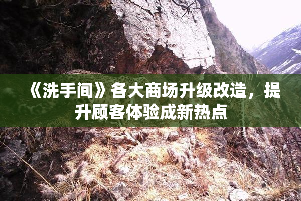 《洗手间》各大商场升级改造，提升顾客体验成新热点