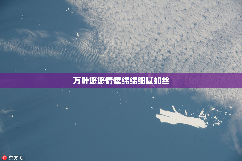 万叶悠悠情愫绵绵细腻如丝