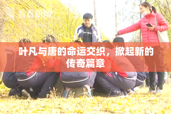 叶凡与唐的命运交织，掀起新的传奇篇章