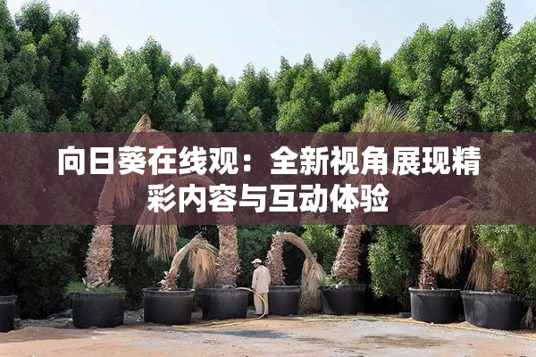 向日葵在线观：全新视角展现精彩内容与互动体验