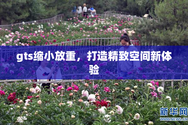 gts缩小放重，打造精致空间新体验