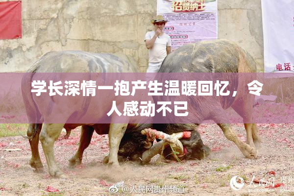 学长深情一抱产生温暖回忆，令人感动不已