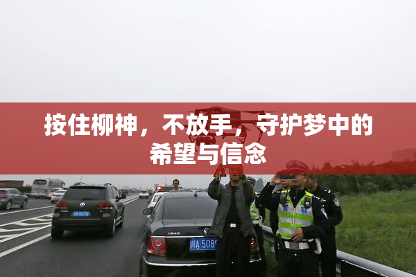 按住柳神，不放手，守护梦中的希望与信念