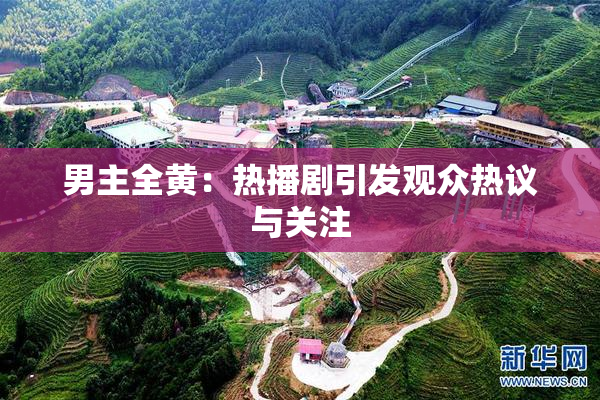 男主全黄：热播剧引发观众热议与关注